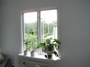 byggblogg-1